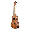 KALA Ukulele Solid Acacia Series Acacia Body Concert successor All-Solid KASA-C-WCASE20_06 [KA-SA-C model] (Case included)