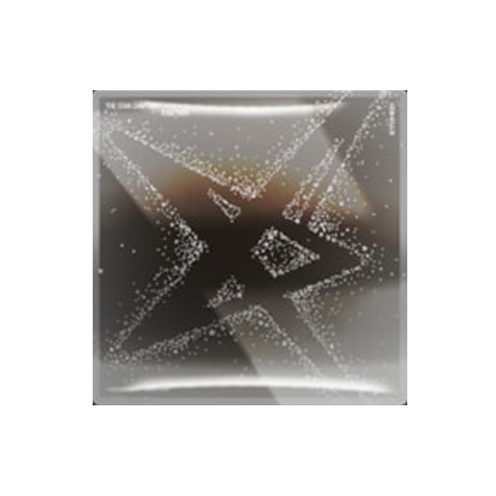 TOMORROW X TOGETHER - Глава Звезды: ВМЕСТЕ