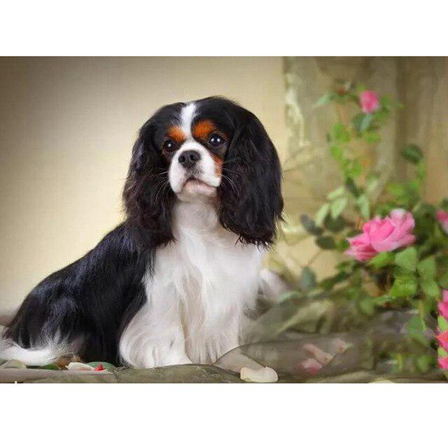 Собака DIY 5D алмазная живопись полная круглая дрель мультфильм животное Алмазная вышивка набор для вышивки крестом горный хрусталь мозаичная Наклейка на стену