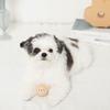 Silicone Mini Bear Squeaky Dog Toy for Small and Medium Dogs Popular Suitable for Toy Poodles and Chihuahuas monchéri Toy, (FREE/Beige), Cute,