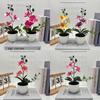 Butterfly Orchid Artificial Plant Home Decor Wedding Photography Prop With Plastic Material For Indoor Use