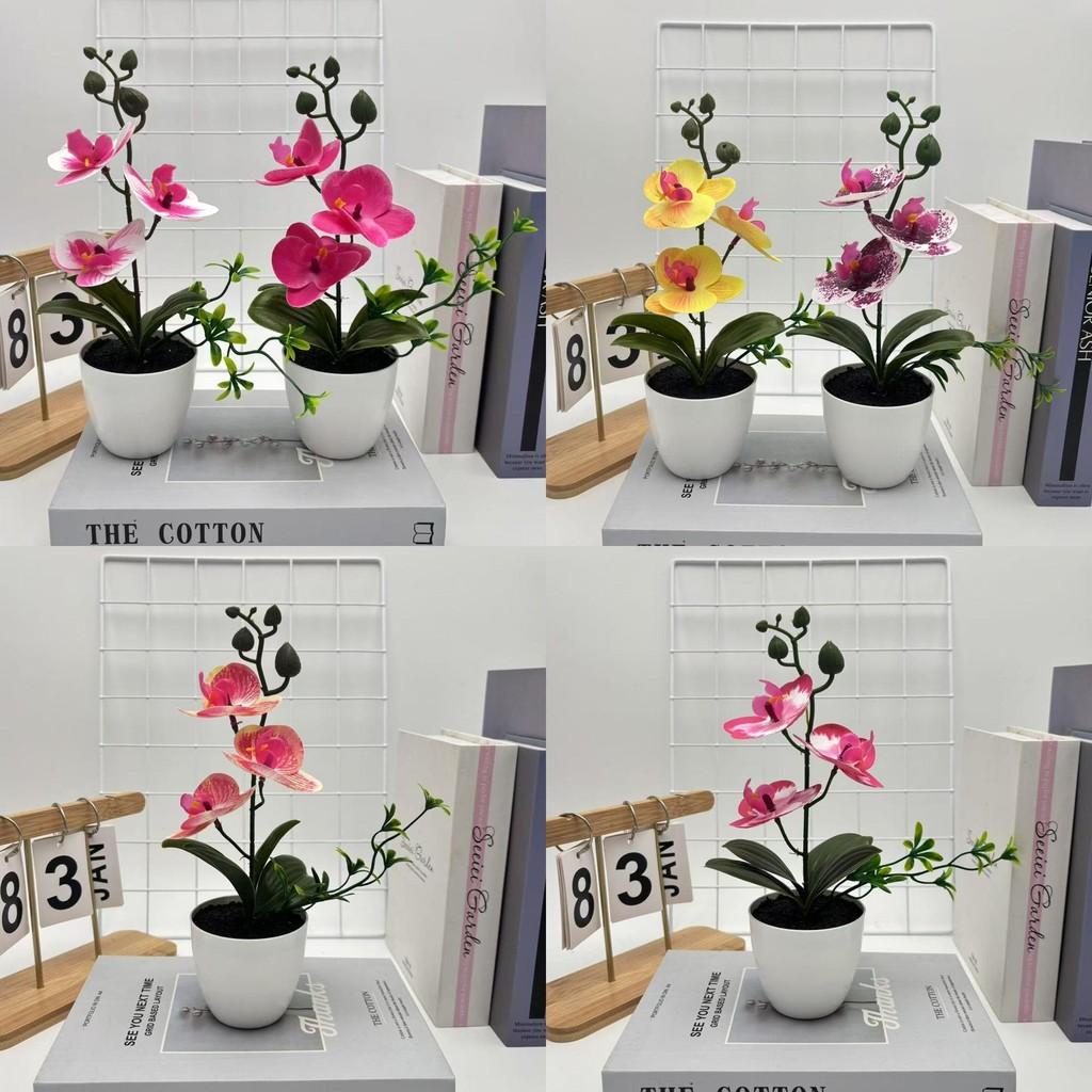 Butterfly Orchid Artificial Plant Home Decor Wedding Photography Prop With Plastic Material For Indoor Use