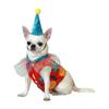 Déguisement De Clown Pour Chien