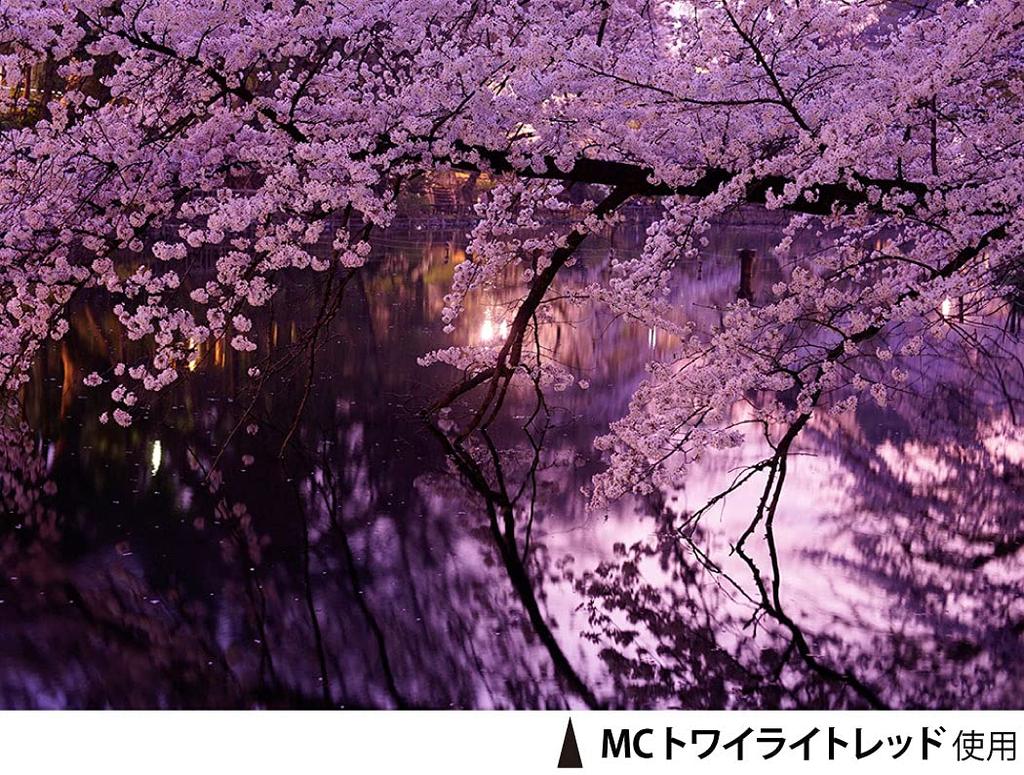 Фильтр объектива Kenko MC Twilight Red 72 мм для улучшения цвета 372845