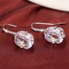 New Exquisite Women's Dangle Earrings High Quality Silver Color Luxury White Cubic Zirconia Fashion Versatile Female Jewelry