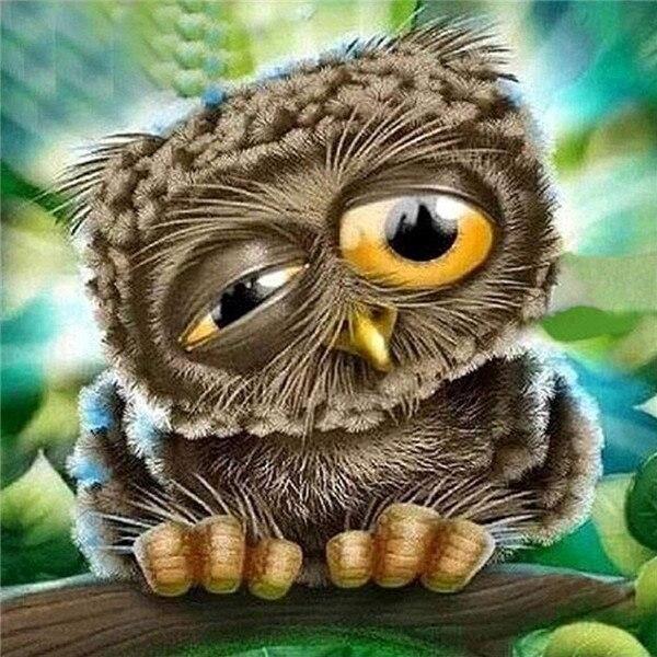 50X50CM Diy Алмазная картина Сова 5D Алмазная мозаика Распродажа Мультфильм Фотографии Стразами Вышивка Декор для дома