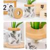 Transparent Hydroponic Flower Pot Wooden Style Lid Plastic Flower Pot New Plant Vase  Nordic Style