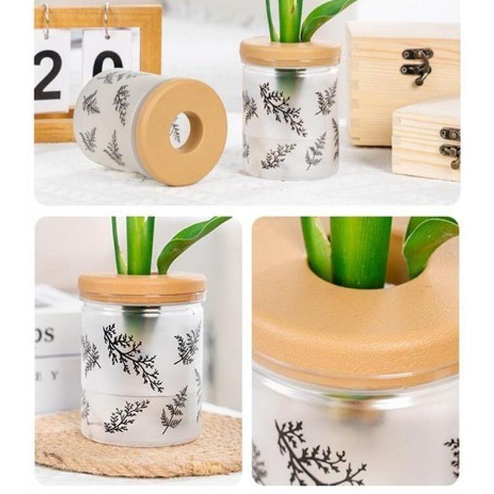 Transparent Hydroponic Flower Pot Wooden Style Lid Plastic Flower Pot New Plant Vase Nordic Style