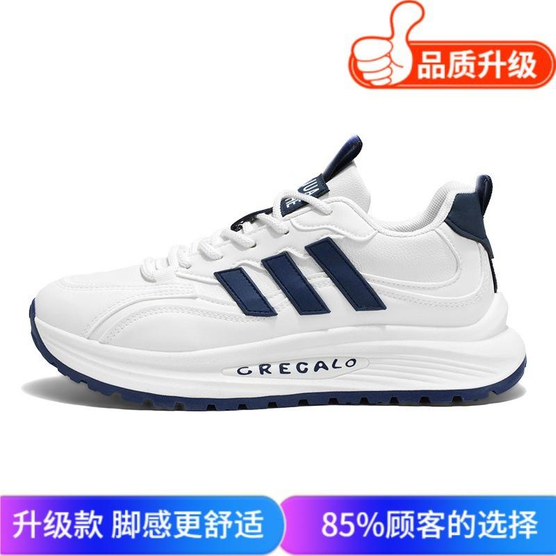 Весенние сетчатые туфли для пап, новые модные универсальные повседневные спортивные туфли на платформе, мужская корейская версия, удобная и дышащая обувь