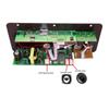 200W AC 220V 12V 24V Digital Bluetooth Stereo Amplifier Board Subwoofer Dual Microphone Karaoke Amplifiers For 8-12 Inch Speaker
