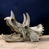 Resin Simulated Dinosaur Skull Decorative Animals Skull Decoration Fish Hiding House  Fish Tank