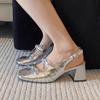 Beautiful High Heels Silver Thick Heel Bag Head Sandals Women's Summer 2025 New with Skirt Mary Jane Single Shoes Small Leather Shoes