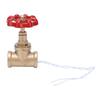 G1/2 Industrial Light Switch Water Pipe Light Switch Steampunk Lamp Switch with Wire 12V/120V