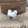 Модель собаки Имитация собаки Мягкая кукла Реалистичная Реалистичная собака Плюшевая игрушка Подарок на день рождения