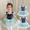 Girls' Ballet Dance Costume - Hidden Button, Open Crotch, Cross-Border Printed Mesh Dress for Performances, Princess Anna Style.