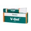 Vi-Gel (30 G), V-Gel,