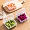 1Pc Butter Cheese Storage Box Portable Refrigerator Fruit Vegetable Fresh-Keeping Organizer Box Transparent Cheese Container