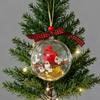 Nature's Birds Ball Ornament 3D Animal Clear Plastic Ball Decoration Christmas Tree Memorial Gift for Bird Lovers