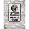 Металлическая табличка Кавказская овчарка Сторожевая собака Предупреждение Осторожно, злая собака 20x30 см