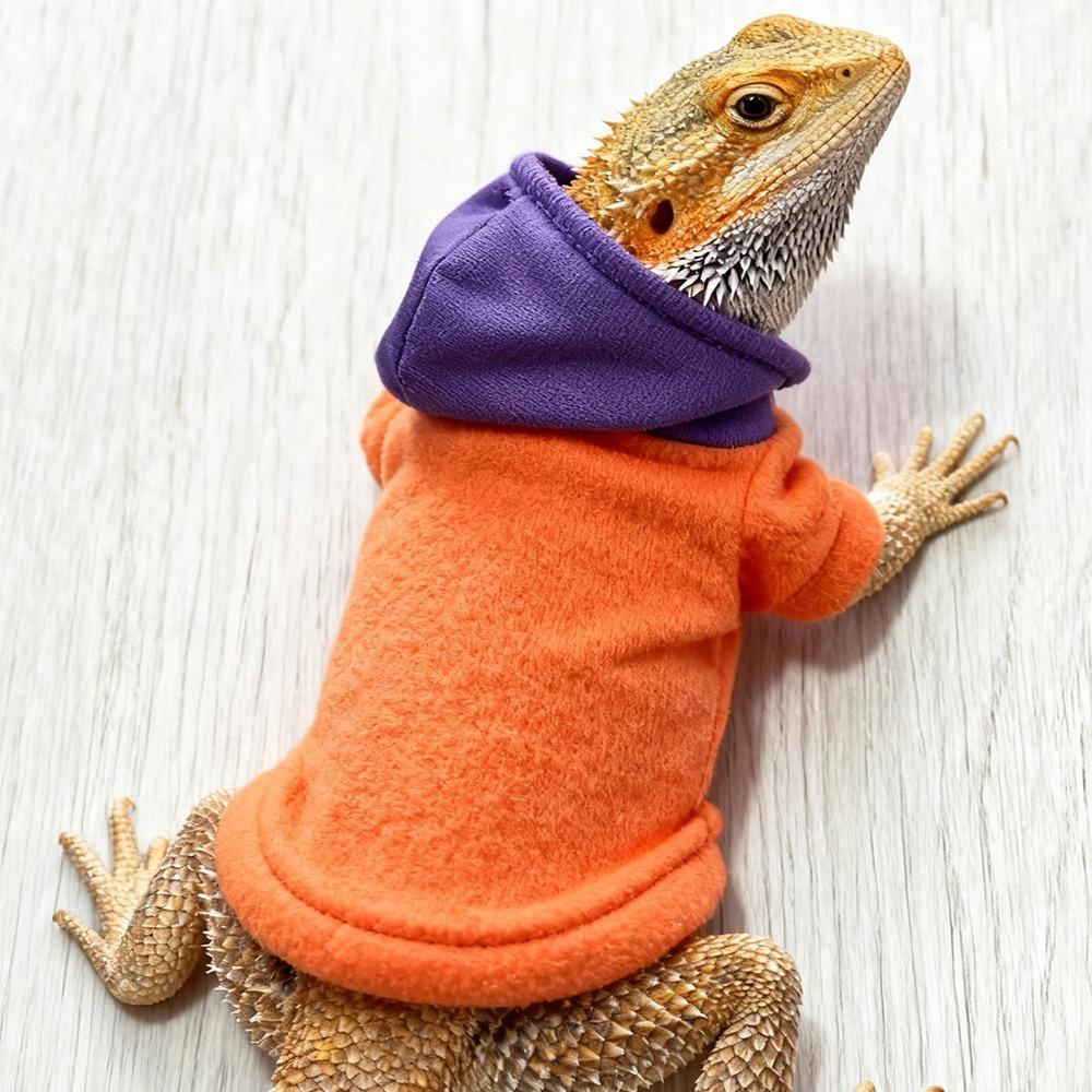 Warm Reptile Hoodies Handmade Bearded Dragon Hoodies Cute Lizards Clothes Photo Outfit