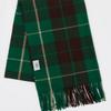 RECLOW OMBRE Двухцветный клетчатый шарф ЗЕЛЕНЫЙ