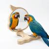Chew-Proof Construction Bird Perch with Mirror Wear Resistant Non-slip Hanging Parrot Play Rack Acrylic Mirror Easy Assemble