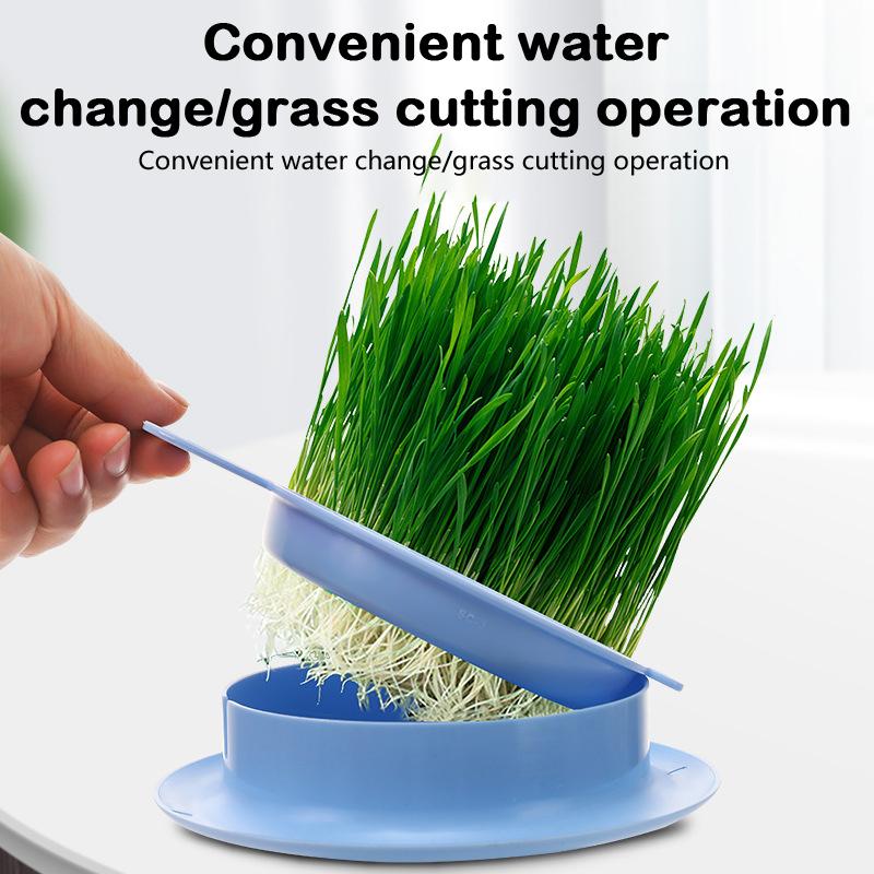 Mint Cat Grass Pot Soilless Hydroponic Lazy Cat Grass Planting Box Catnip Promote Digestion Cat Snacks Planting Container Tools