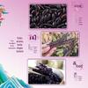 Head & Shoulders Ocean Fresh Shampoo & Black Rice Snack Bundle