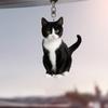 Акриловые брелки для ключей в виде кота, подвеска на зеркало заднего вида автомобиля, автомобильная сумка, кольца, подвеска, украшение для ключей в виде кота для салона автомобиля, аксессуары