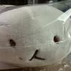 Baekhyun Teoraegi Glutinous Rice Glutinous Rice Glutinous Rice Sealed