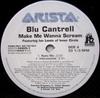 12inch Record BLU CANTRELL, IAN LEWIS - Make Me Wanna Scream 82876568051 Arista 2003 US Rap & Hip-Hop/R&B Used