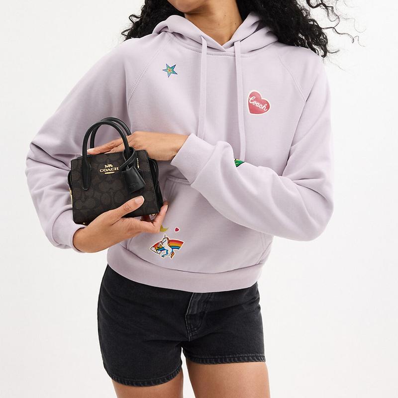 Coach Андреа 16 Застежка-молния фирменный логотип покрытие из канваса сумка через плечо сумка-тоут мини женская грецкий орех и черный
