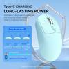 Bluetooth 5.4 Mouse Dual Mode Wireless Mouse Rechargeable Silent Mice Ergonomic DPI Adjustable Gaming Mice for PC Laptop Macbook