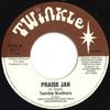 7inch Record TWINKLE BROTHERS - Praise Jah NG177 Twinkle Music 2001 UK Reggae, Ska & Dub