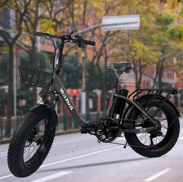 2026 New Ebike BLJ DZ-2030 500W Motor 48V 16AH Battery, Aluminum Alloy Frame, 20-inch Fat Tires, Urban Commuter Electric Bicycle.