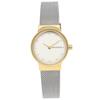 Часы SKAGEN SKW2666 Серебро Желтое золото [Skagen] Женские [Товар]