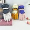 Ski Gloves for Women In Winter Warm and Cold Play Snow Water Splashing and Thick Cycling Electric Bike Gloves for Men Outdoor