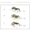 Funny Pure Brass Crab Figurines Animal Statue Miniatures Copper Ornament Home Office Desk Decoration Crafts Home Decor Nordic