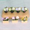 1/12 Миниатюрная модель цветка в горшке Фигурка Для сцены кукольного домика Аксессуары для демонстрации Декорации для микроландшафта