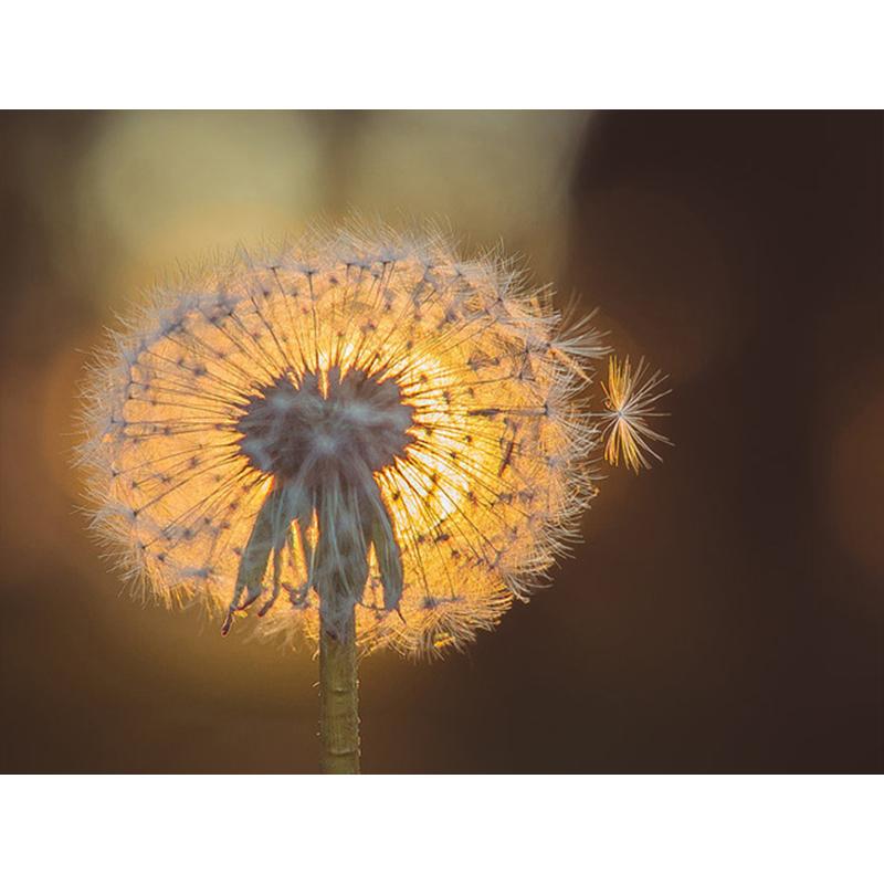 Diamond Painting Dandelion Full Square Mosaic Art Sunset Diamond Embroidery Landscape Picture of Rhinestone Home Decor