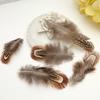 50Pcsdiy Jewelry Accessories Feather Diy Feather Headdress Corsage Hat Shoes Handicrafts Decorative Materials