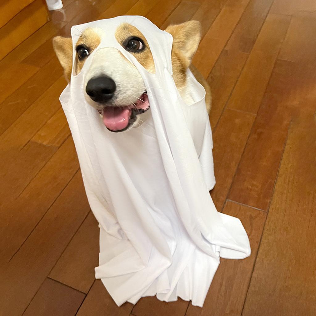 29x47 дюймов Хэллоуин страшная собака косплей одеваются жуткие декоративные принадлежности для животных накидки головные уборы костюм для трансформации питомца