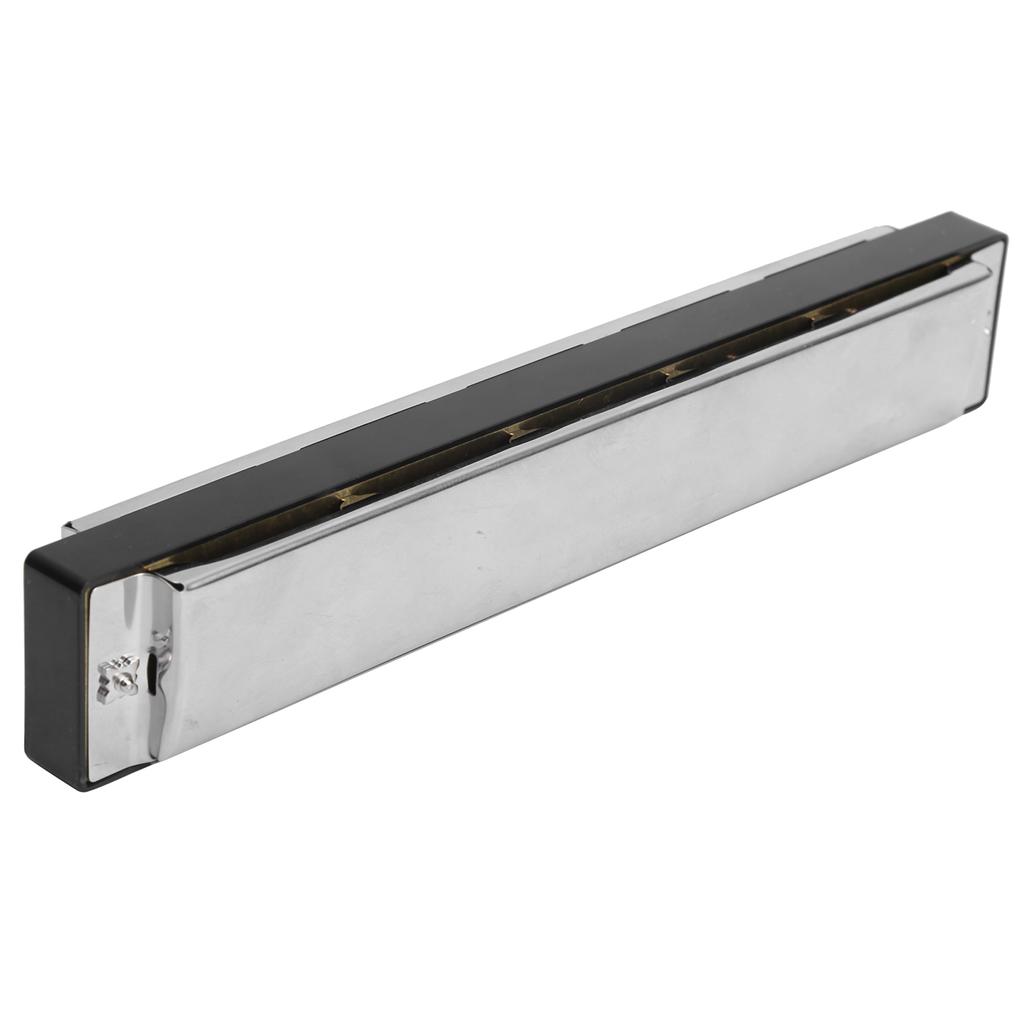 24 Отверстия Губная Гармошка До Мажор Октавная Настройка Для Начинающих Популярные Принадлежности для Музыкальных Инструментов