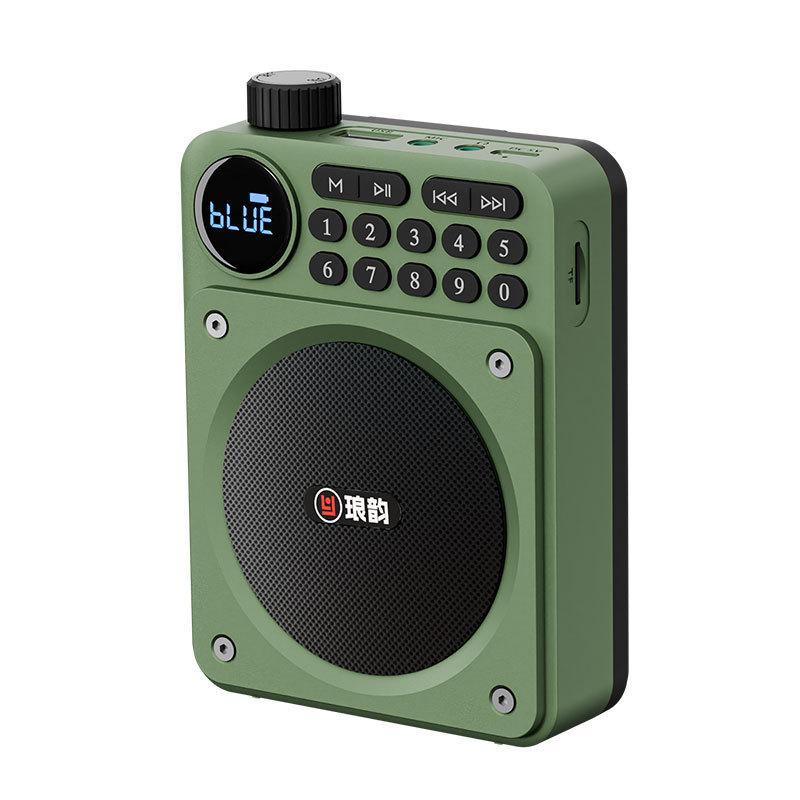 Мини Цифровое FM Радио HD Дисплей 76-108 МГц Радио Беспроводной Bluetooth 5.3 Динамик Портативный Усилитель Голоса с Слотом для TF-карты USB