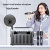 Sansui E96 Portable Karaoke Bluetooth Speaker CN plug (adapter included)