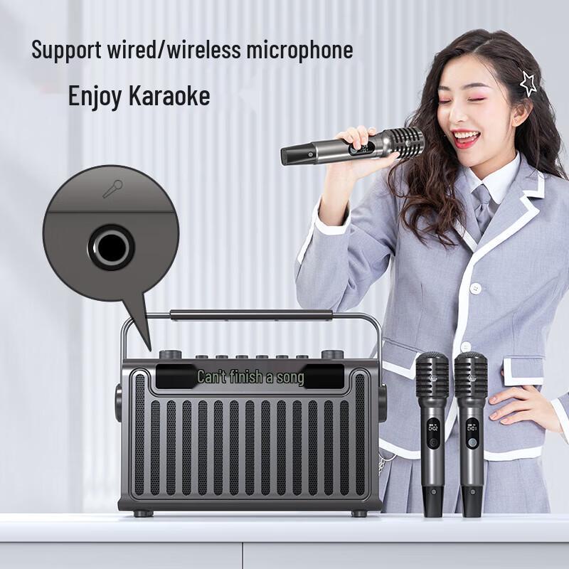Sansui E96 Portable Karaoke Bluetooth Speaker CN plug (adapter included)