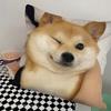 Cheems Shiba Inu Doge Pillow Case Square Pillow Bedroom Sofa Leisure Comfort Cushion Car Living Room Home Decoration