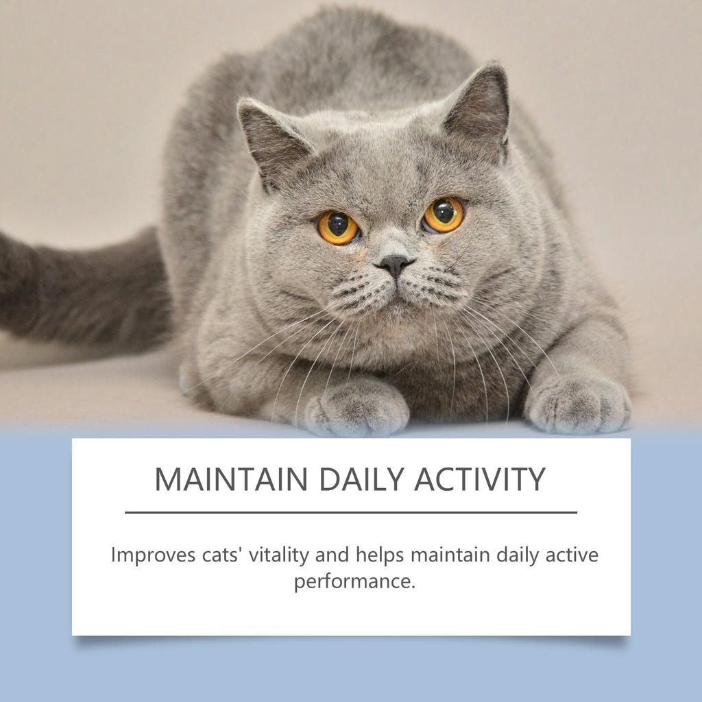 Пищевые добавки для домашних животных, Жидкость для питания кошек для повышения иммунитета и жизненной силы, Капли пищевой добавки для домашних животных, 50 мл