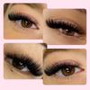 COMANGO Portable 600 Fans Premade Volume Fans 3d-16d Promade Hybrid False Lashes Cluster Bulk Eyelashes Extension Korean Makeup