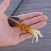 14 см Светящаяся в темноте кальмаровая приманка с крючком Реалистичный Бионический Искусственный Осьминог Воблер Светящаяся Симуляция Мягкая приманка Морская Пресноводная Рыбалка